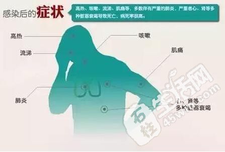 重庆人口问题_人口计生委与重庆将共建统筹解决人口问题试验区(2)